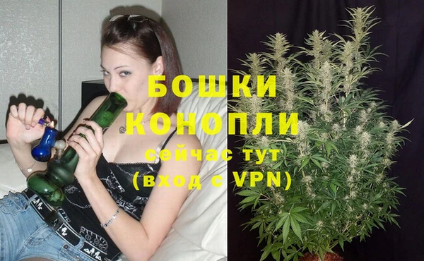 спайс Краснослободск