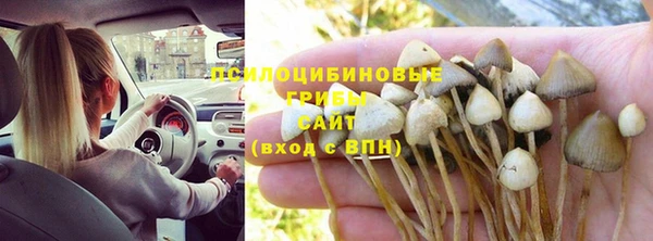 спайс Краснослободск