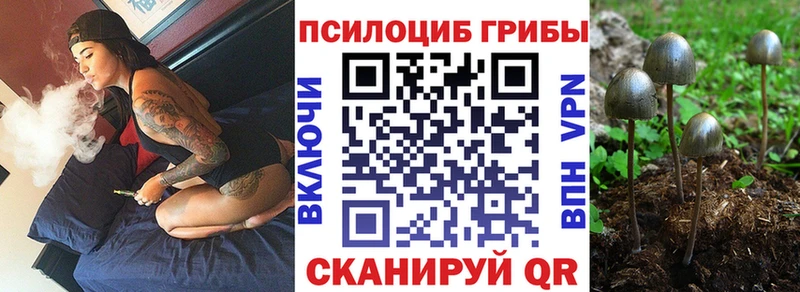 маркетплейс клад  Среднеколымск  Псилоцибиновые грибы Psilocybe 